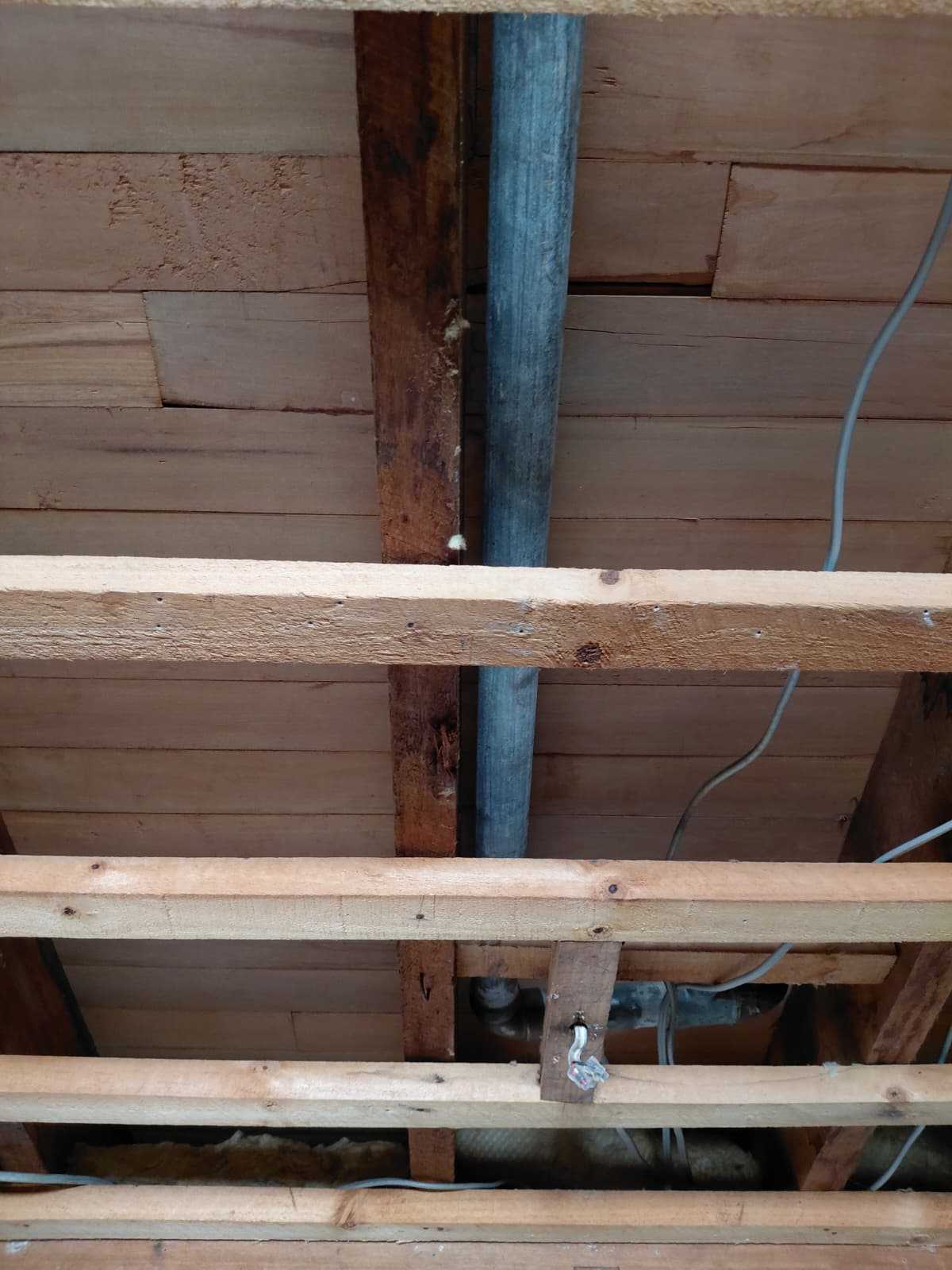 WhatsApp Image 2026-01-27 at 10.48.59 AM